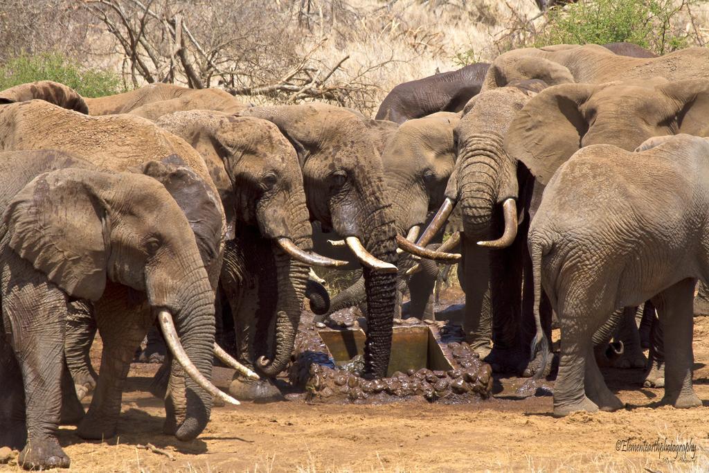 Hotel Elerai Camp Amboseli Zewnętrze zdjęcie