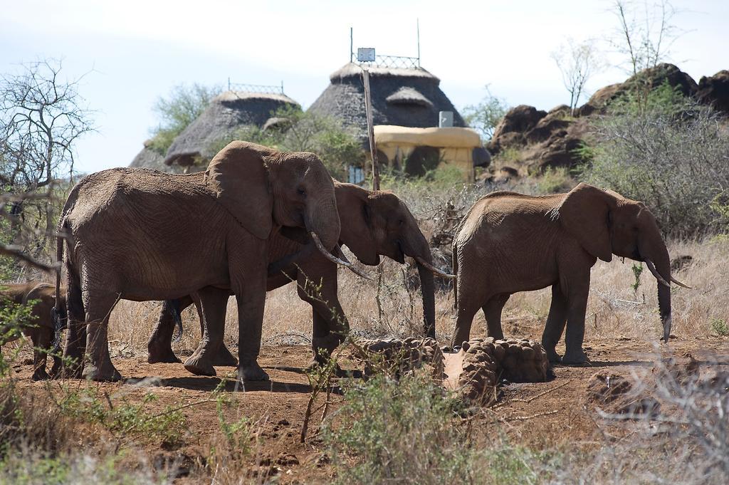 Hotel Elerai Camp Amboseli Pokój zdjęcie