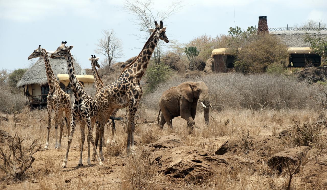 Hotel Elerai Camp Amboseli Zewnętrze zdjęcie