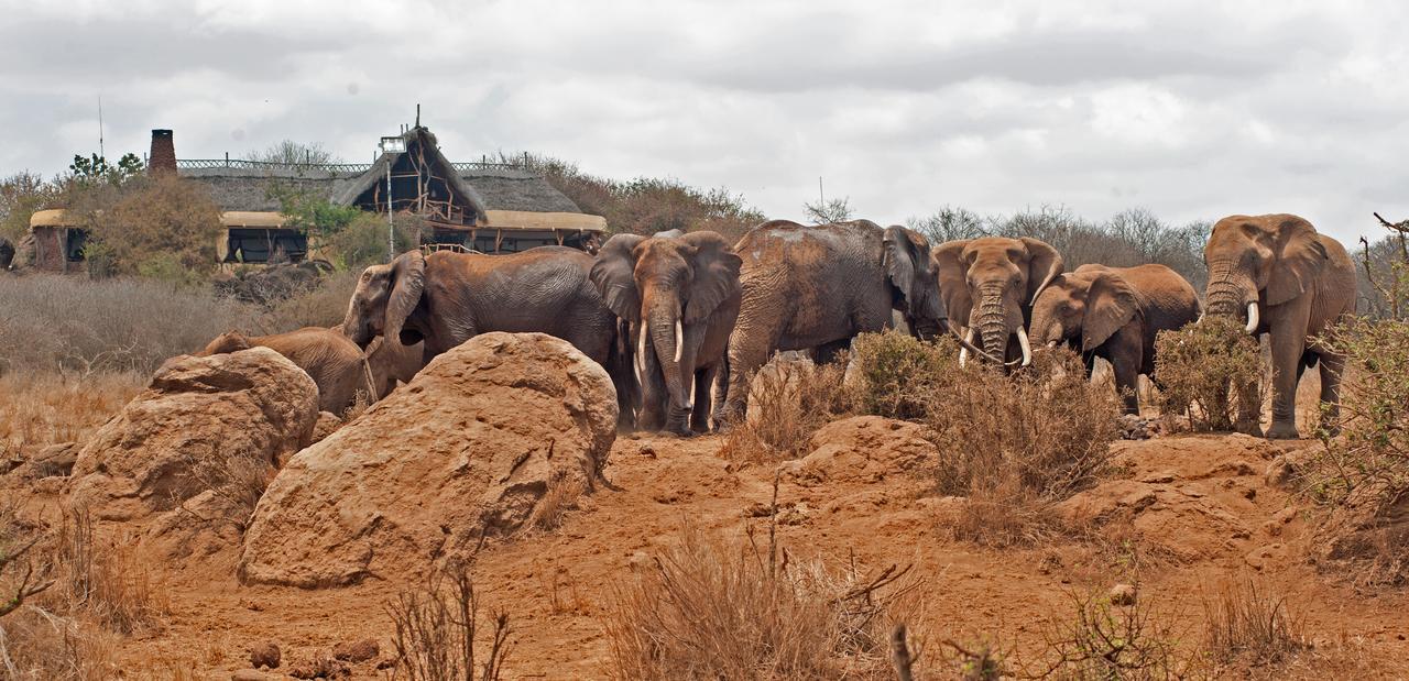 Hotel Elerai Camp Amboseli Zewnętrze zdjęcie